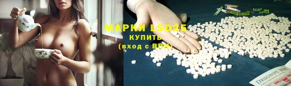 хмурый Арсеньев