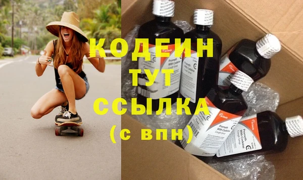 хмурый Арсеньев