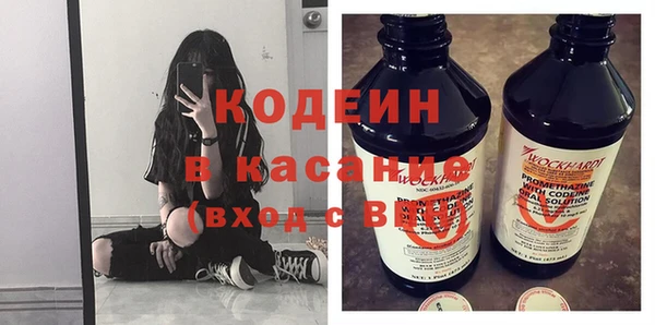 хмурый Арсеньев