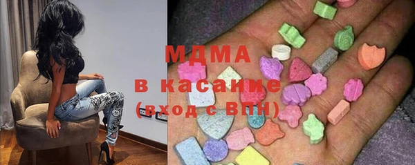хмурый Арсеньев